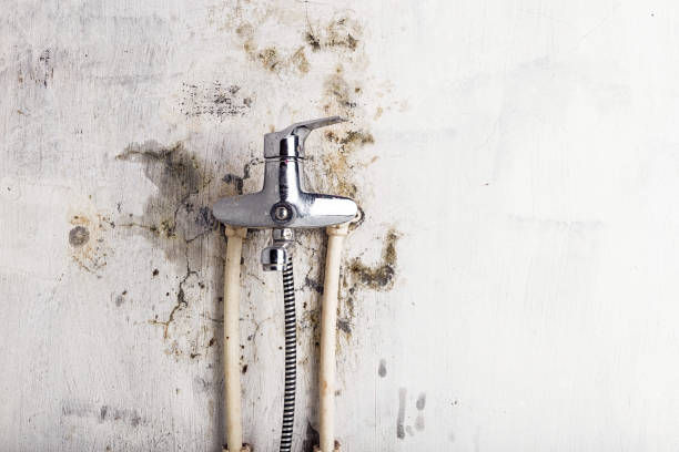 Best Mold Testing  in Big Beaver, PA