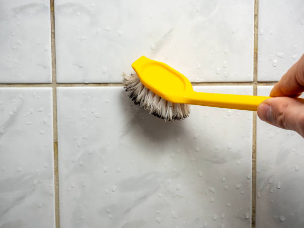 Best Mold Damage Repair  in Big Beaver, PA