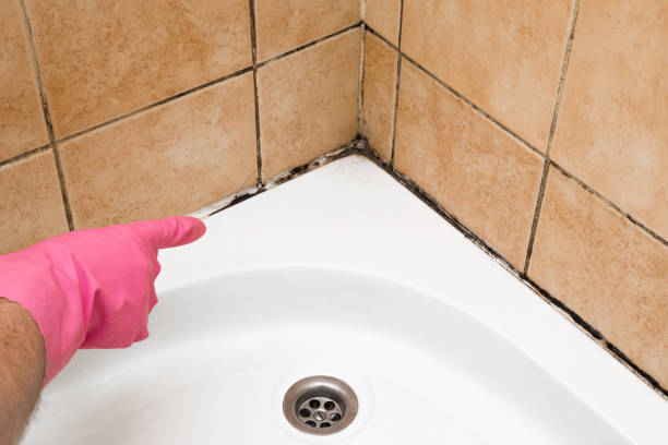 Best Certified Mold Removal  in Big Beaver, PA